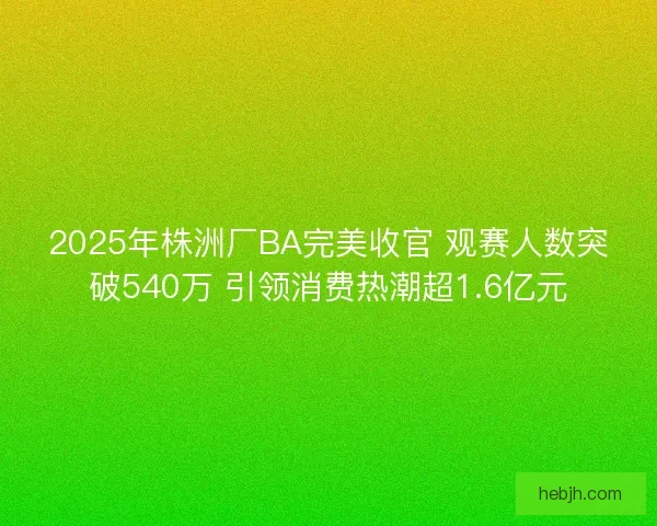 2025年株洲厂BA完美收官 观赛人数突破540万 引领消费热潮超1.6亿元